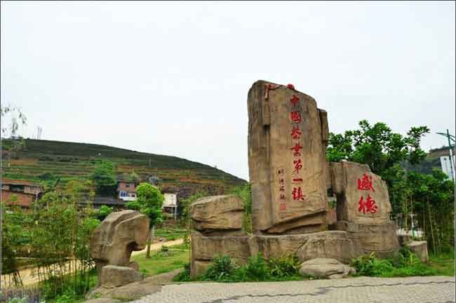 鐵觀音產(chǎn)地