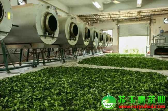 劍斗鐵觀音產(chǎn)地生產(chǎn)的茶好不好