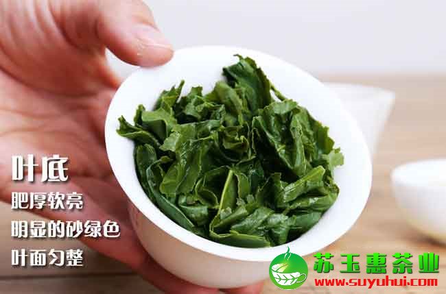 安溪鐵觀音100克多少價格呢