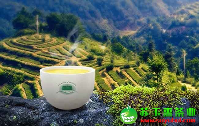 安溪鐵觀音生態(tài)茶的發(fā)展