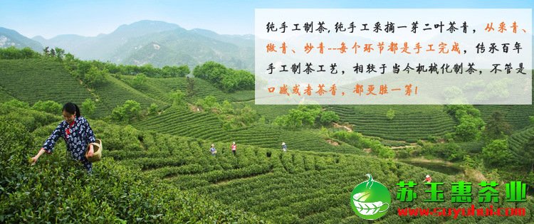 高山鐵觀音新茶濃香型散裝真空裝 安溪源產(chǎn)地批發(fā)