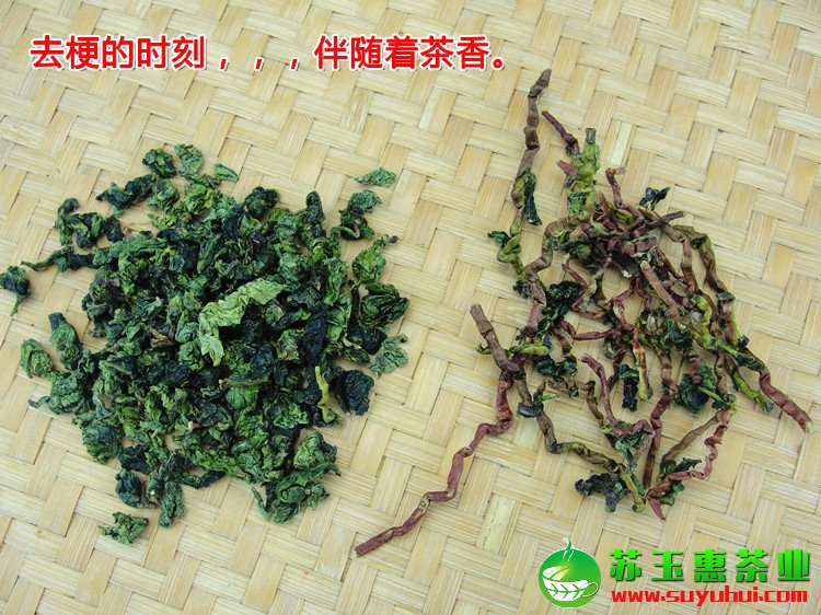 高山鐵觀音新茶濃香型散裝真空裝 安溪源產(chǎn)地批發(fā)