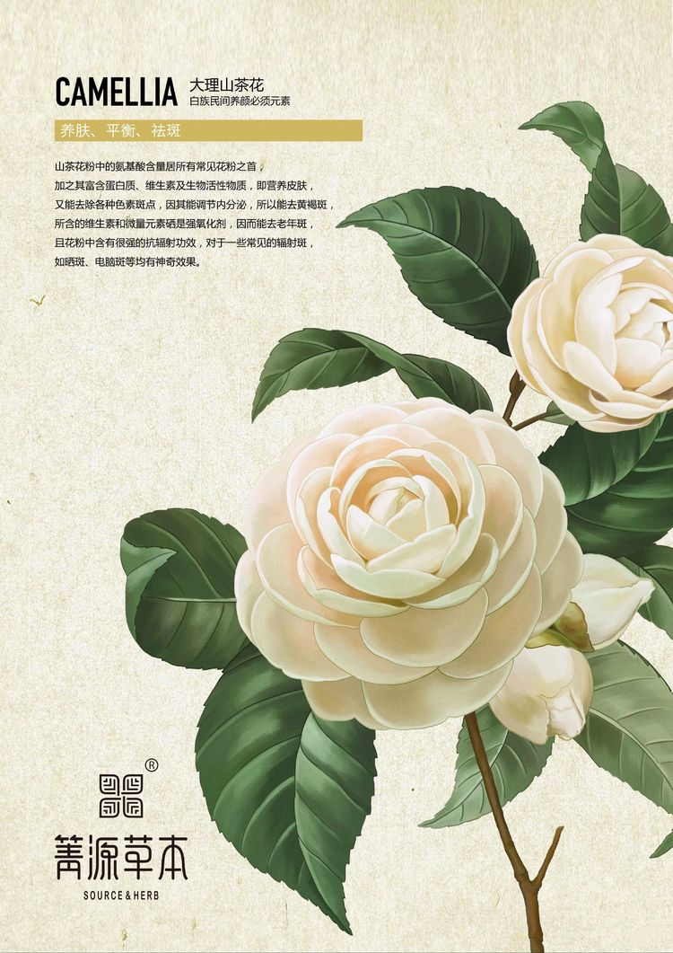 箐源草本臭水13大成分功效及調(diào)膚原理