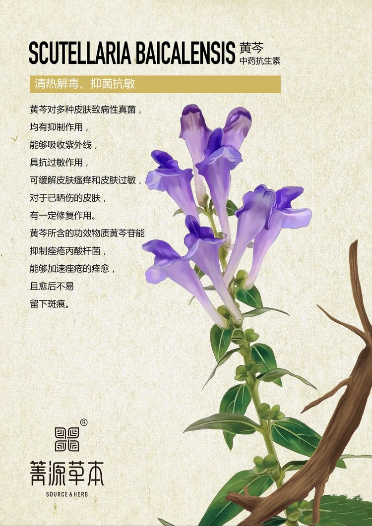 箐源草本臭水13大成分功效及調(diào)膚原理