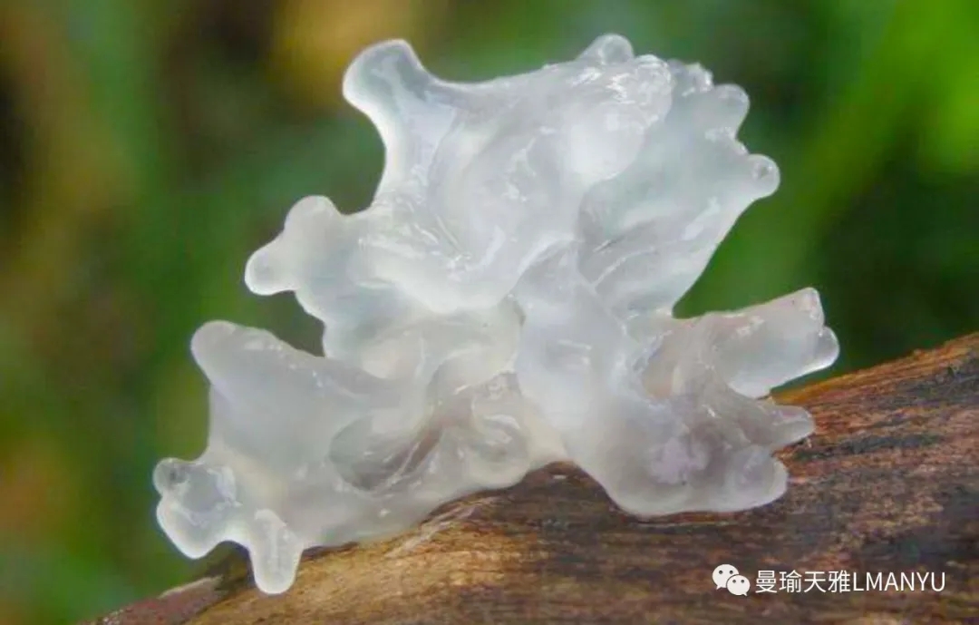曼瑜天雅嬤嬤寶童顏面膜