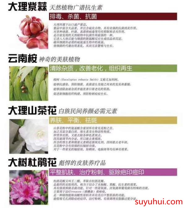 臭水箐源草本主要成分介紹