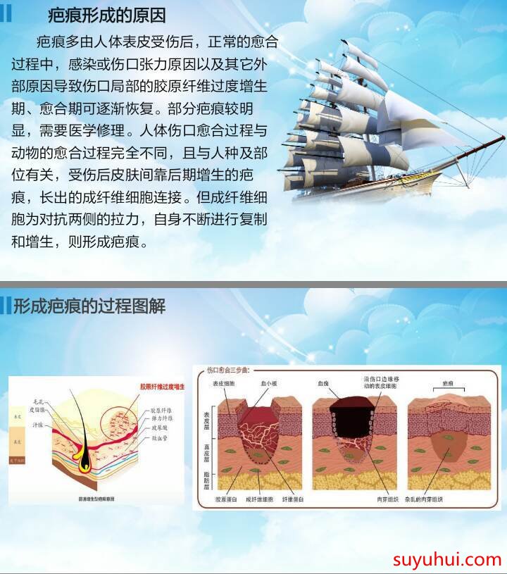 曼瑜天雅撫痕緊致霜成分功效及使用方法