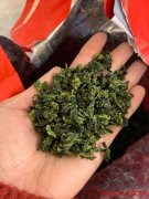 鐵觀(guān)音茶怎樣沖泡最好喝